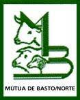 29-MUTUA_BASTO